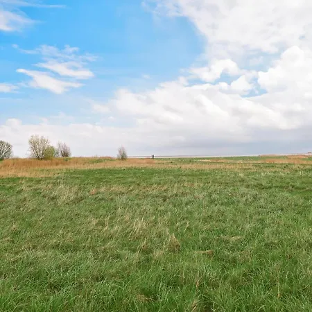 Sleep Space 21 - Green Tiny Spot Schillig Schillig